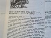 Medžiotojo vaišės (B. Kačkus) - nuotraukos Nr. 4