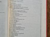 Medžiotojo vaišės (B. Kačkus) - nuotraukos Nr. 10