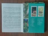 Atvirukų rinkinys - Akvariumo pasaulis ( žuvys ) - nuotraukos Nr. 6