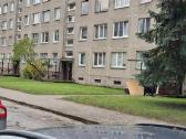 1-no kamb. butas, 3 aukšt., Gargždai - nuotraukos Nr. 6