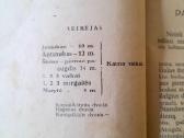 "Scenos Vaizdeliai Vaikų Teatrui" 1924m. - nuotraukos Nr. 8