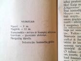 "Scenos Vaizdeliai Vaikų Teatrui" 1924m. - nuotraukos Nr. 10