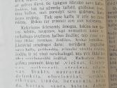 "Nebuk Storžievis" 1922m. - nuotraukos Nr. 4
