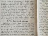 "Nebuk Storžievis" 1922m. - nuotraukos Nr. 7