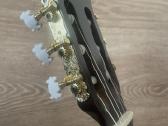 Gitara - nuotraukos Nr. 2