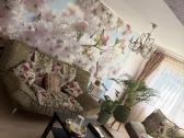 Parduodu sofa lova ir foteli 300€