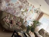 Parduodu sofa lova ir foteli 300€ - nuotraukos Nr. 3