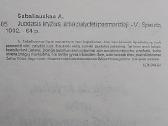 Juodasis kryžius, arba palydėti pasmerktieji - nuotraukos Nr. 3