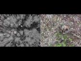 Drono paslaugos: termovizija/fotografavimas - nuotraukos Nr. 10