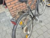 Parduodami trys dviračiai - nuotraukos Nr. 12
