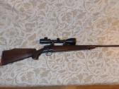 Sako 30-06