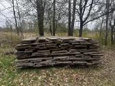 Ąžuolo blankės - nuotraukos Nr. 2