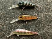 Jackson, Zipbaits, Osp Vobleriai - nuotraukos Nr. 2