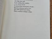 Kristina Dabrilaitė (eilėraščiai) - nuotraukos Nr. 3