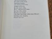Kristina Dabrilaitė (eilėraščiai) - nuotraukos Nr. 6