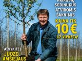 Amšiejaus Juozo vaismedžių, vaiskrūmių medelynas - nuotraukos Nr. 16