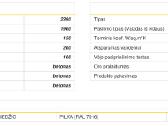 Ryternos vartai, 2,39x1.9 nauji - nuotraukos Nr. 2
