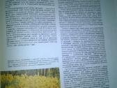 Sodų Enciklopedija - nuotraukos Nr. 16