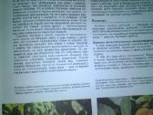 Sodų Enciklopedija - nuotraukos Nr. 27
