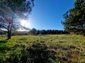 5,17 ha iki Šventosios 10min., iki Palangos 15min. - nuotraukos Nr. 7