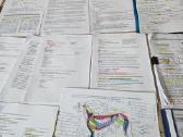Veterinarinės medicinos konspektai ir užrašai - nuotraukos Nr. 10
