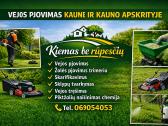 Skarifikavimas, Žolės pjovimas, sklypų priežiūra.