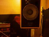 Tannoy Devon (Hpd315a) kolonėlės (vintažas) - nuotraukos Nr. 4