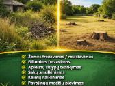 Aplinkos tvarkymas - nuotraukos Nr. 2