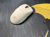 Razer Deathadder v4 pro - nuotraukos Nr. 2