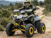 Benzininis keturratis Barton Terrax 125cc