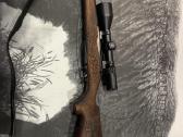 Tikka 695 3006 cal