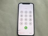 Apple 12