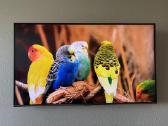 Samsung Q67t 4k 43 colių televizorius - nuotraukos Nr. 3