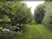 Išskirtinis 38 ha masyvas Mingės kaime su technika - nuotraukos Nr. 6