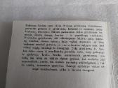 Pašnekesiai su mama - nuotraukos Nr. 5