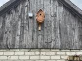 Inkilas su stebejimo kamera - nuotraukos Nr. 3