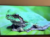 Philips 50pus7555 Smart TV su defektu