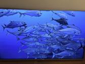 Philips 50pus7555 Smart TV su defektu - nuotraukos Nr. 5
