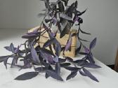 Tradescantia Purple - nuotraukos Nr. 4
