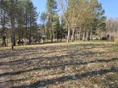 Išskirtinis sklypas prie Nemuno