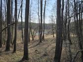 Išskirtinis sklypas prie Nemuno - nuotraukos Nr. 6