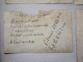 Vilniaus savisaugos policijos bataliono foto 1942m - nuotraukos Nr. 13
