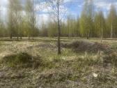Parduodamas namų valdos sklypas Panendrės g. 7m