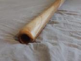 Terre Beginner didžeridu E2 iš tiko medienos 150cm - nuotraukos Nr. 3