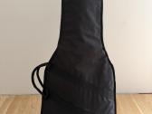 Elektrinė gitara Jet Jl-500 Gd - nuotraukos Nr. 5