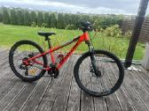 Cannondale Trail 24