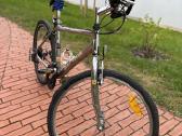 Alpina 26 hibridinis / miesto dviratis su Shimano - nuotraukos Nr. 3