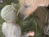 Poni kumelaitės - nuotraukos Nr. 6