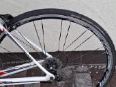 Bordman C7 carbon - nuotraukos Nr. 6