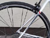 Bordman C7 carbon - nuotraukos Nr. 8